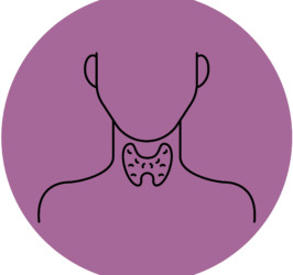 Endokrynologia